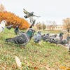фото Любовь Ястремская фото Любовь Ястремская