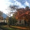 фотография Ольга Гарман фотография Ольга Гарман