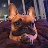 фотография Екатерина Чудова фотография Екатерина Чудова