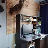 фото Ника Зубра фото Ника Зубра