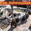 фото на странице sergeydolya фото на странице sergeydolya