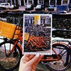 фотография Настя Джонсон фотография Настя Джонсон