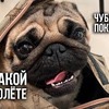 фотография gleb_kornilov фотография gleb_kornilov