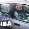реклама в блоге Никита Рождеств реклама в блоге Никита Рождеств