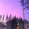 реклама в блоге Алеся Новикова реклама в блоге Алеся Новикова