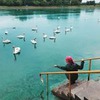 фото на странице Екатерина Данина (Гунченко) фото на странице Екатерина Данина (Гунченко)