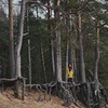 фотография Алена Павлова фотография Алена Павлова