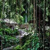 фотография Андрей Герасименко фотография Андрей Герасименко