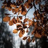 фото на странице Андрей Свистунов фото на странице Андрей Свистунов