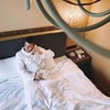 реклама в блоге Илья Шевелев реклама в блоге Илья Шевелев