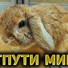 реклама у блоггера amway921wot реклама у блоггера amway921wot