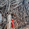 разместить рекламу в блоге Гуля Омели разместить рекламу в блоге Гуля Омели
