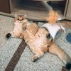 лучшие фото Мария Кузьмина лучшие фото Мария Кузьмина