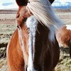 разместить рекламу в блоге Юлия Гришанова разместить рекламу в блоге Юлия Гришанова