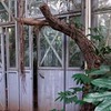 новое фото Эвелина Кошкина новое фото Эвелина Кошкина
