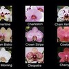 фото на странице Виктория Кройтор фото на странице Виктория Кройтор