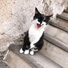 фото на странице Катерина Кришталь фото на странице Катерина Кришталь
