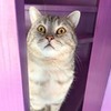 заказать рекламу у блоггера Ольга Лорана заказать рекламу у блоггера Ольга Лорана