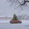 фото Денис Аношин фото Денис Аношин
