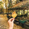 лучшие фото Yaksenya лучшие фото Yaksenya