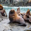 новое фото Вадим Махоров новое фото Вадим Махоров