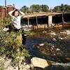 реклама на блоге Ксения Цыбульникова реклама на блоге Ксения Цыбульникова