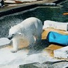лучшие фото Владимир Кутенков лучшие фото Владимир Кутенков