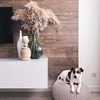 реклама в блоге Наталия Talika_home реклама в блоге Наталия Talika_home