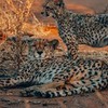 фото на странице Дмитрий Куликов фото на странице Дмитрий Куликов