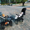 реклама в блоге София Старостенко реклама в блоге София Старостенко