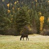 лучшие фото Вадим Ветров лучшие фото Вадим Ветров
