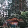 реклама у блоггера Мария Орлова реклама у блоггера Мария Орлова