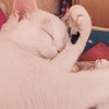реклама на блоге Маша Герас реклама на блоге Маша Герас