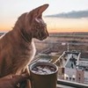 заказать рекламу у блоггера Юлия Фиалковская заказать рекламу у блоггера Юлия Фиалковская