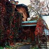 реклама у блоггера Ульяна Петрухина реклама у блоггера Ульяна Петрухина