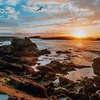 фотография Саша Левин фотография Саша Левин