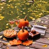 лучшие фото Анастасия Хохлова лучшие фото Анастасия Хохлова