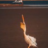 фото Дмитрий Куликов фото Дмитрий Куликов