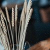 новое фото Айя Стайлнотс новое фото Айя Стайлнотс