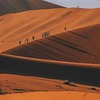 фотография Дмитрий Куликов фотография Дмитрий Куликов