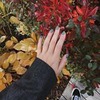 новое фото Asyastyles новое фото Asyastyles