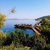 лучшие фото Мария Саух лучшие фото Мария Саух