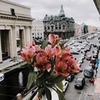 разместить рекламу в блоге АГНИЯ ТИТОВА разместить рекламу в блоге АГНИЯ ТИТОВА