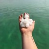 новое фото Наталина Клюева новое фото Наталина Клюева