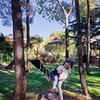 фото Ирина Клеверина фото Ирина Клеверина