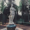 фото на странице Альберта Ушакова фото на странице Альберта Ушакова