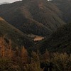 фото на странице Дара Мускат фото на странице Дара Мускат