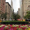 фотография Настя Свон фотография Настя Свон