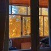 лучшие фото Анастасия Борщ лучшие фото Анастасия Борщ
