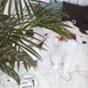 лучшие фото Нати Ламбант лучшие фото Нати Ламбант